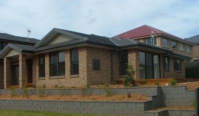 EVERYBODYS DREAM Picture