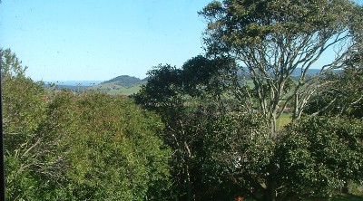 JUST REDUCED ! Picture