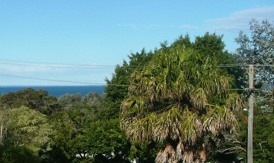 VACANT LAND Picture VACANT LAND Picture