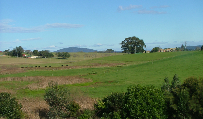 Vacant block with DA approval Picture 1