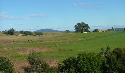 Vacant block with DA approval Picture