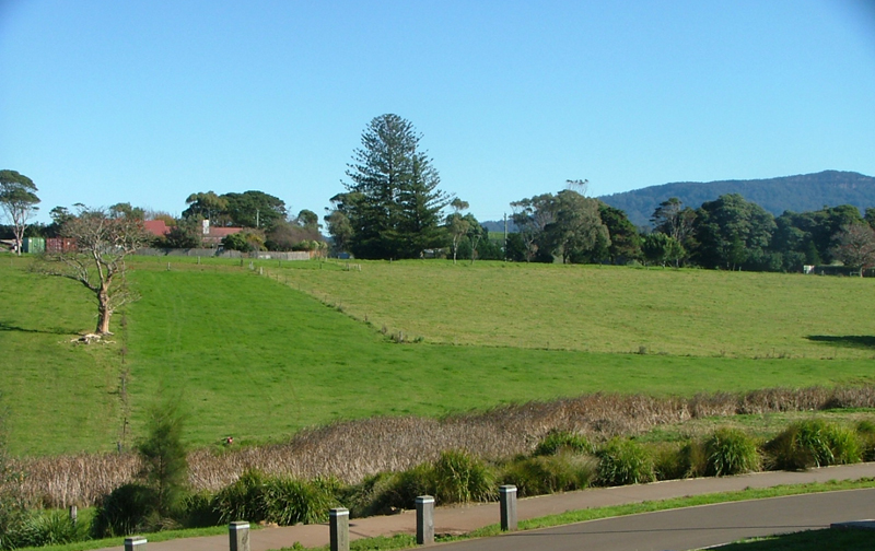 Vacant block with DA approval Picture 3