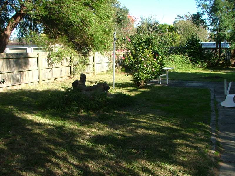 LISTEN TO THE WAVES Picture 2