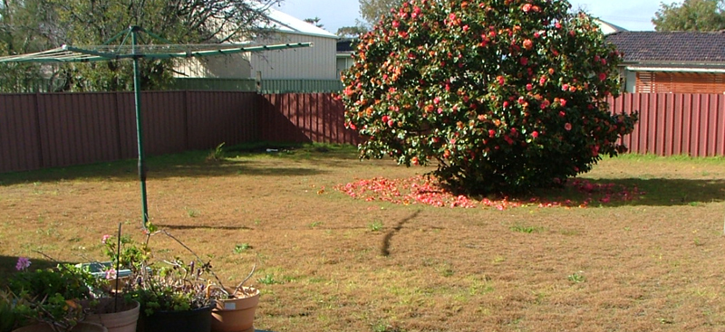 QUIET LOCATION Picture 2