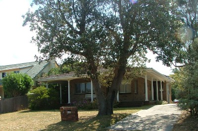 BEACH - LAGOON - RESERVE Picture