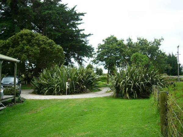 SPAINS ROAD SPECIAL Picture 2