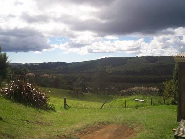 RURAL HOME FIVE MINUTES TO MANGONUI Picture 3