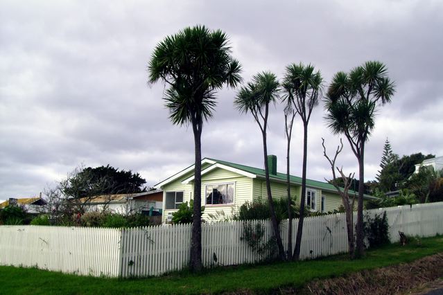 HOKIANGA HARBOUR RAWENE Picture 1