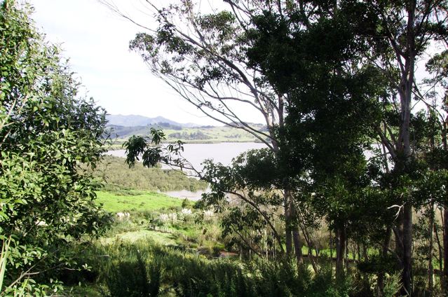 HOKIANGA HARBOUR RAWENE Picture 1