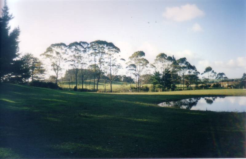 RETIRE TO PARADISE Picture 2