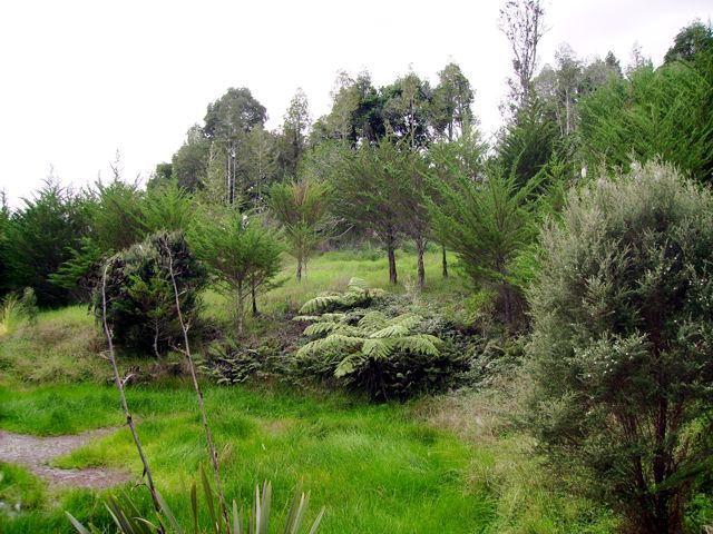 HOKIANGA HARBOUR RAWENE Picture 1