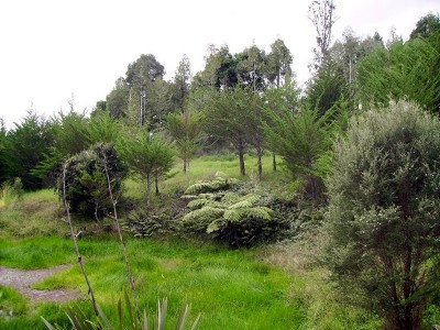 HOKIANGA HARBOUR RAWENE Picture