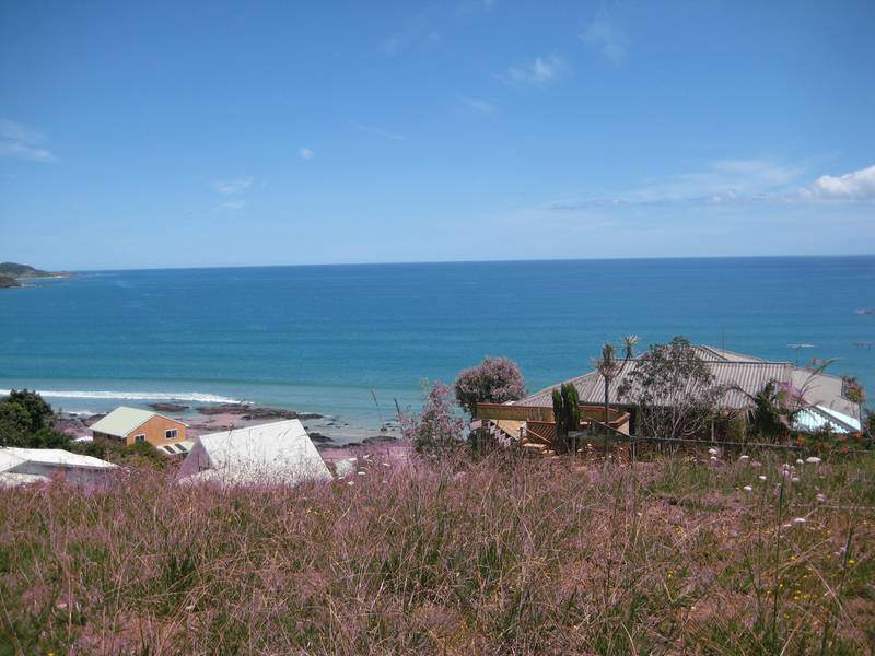 GREAT INVESTMENT Picture 1