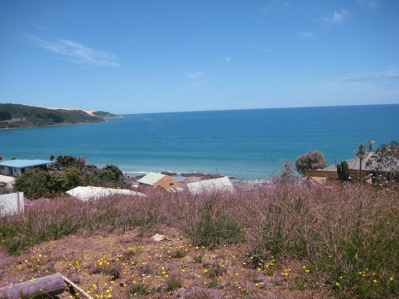 GREAT INVESTMENT Picture 2