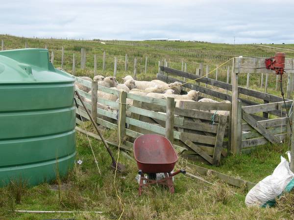 A PIECE OF COUNTRY Picture 2