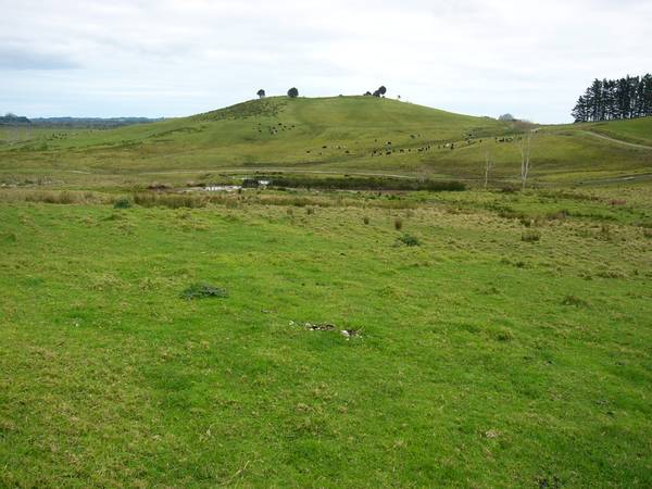 A PIECE OF COUNTRY Picture 3