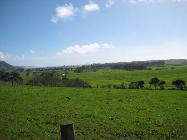 BUILD YOUR DREAM HOME Picture 3