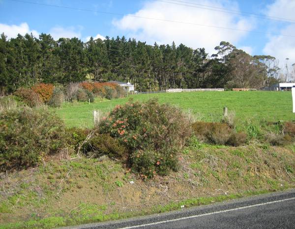 BUILD YOUR DREAM HOME Picture 1