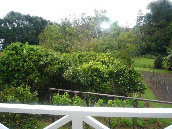 READY TO BUILD Picture 2