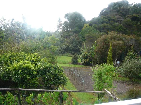 READY TO BUILD Picture 1