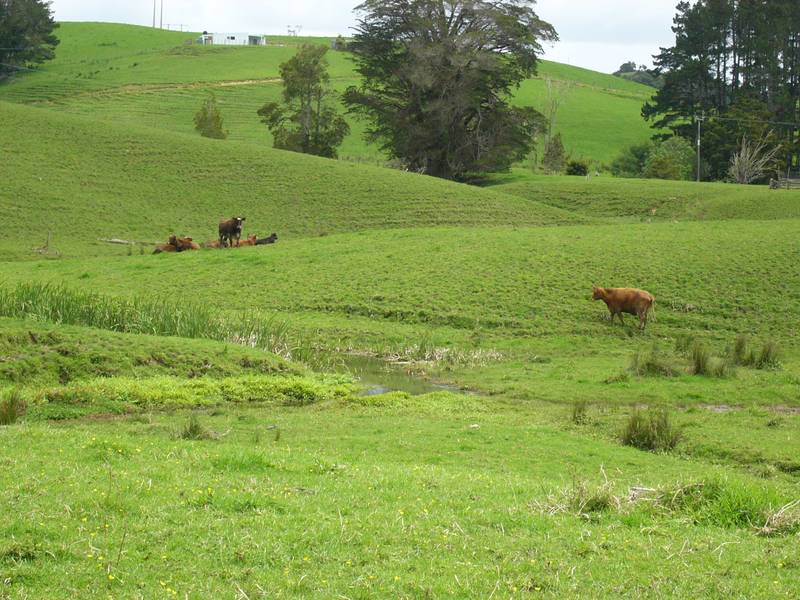 PEACEFUL VALLEY RETREAT Picture