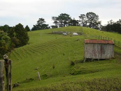 PRIVATE GRAZING LOCATION Picture