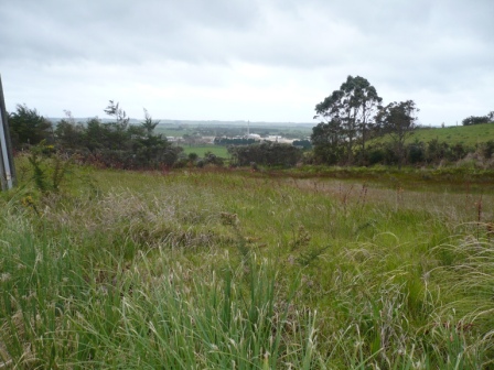 DEVELOPER WANTS OUT Picture 1