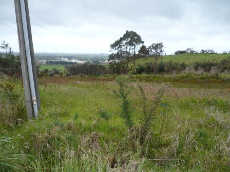 DEVELOPER WANTS OUT Picture 2