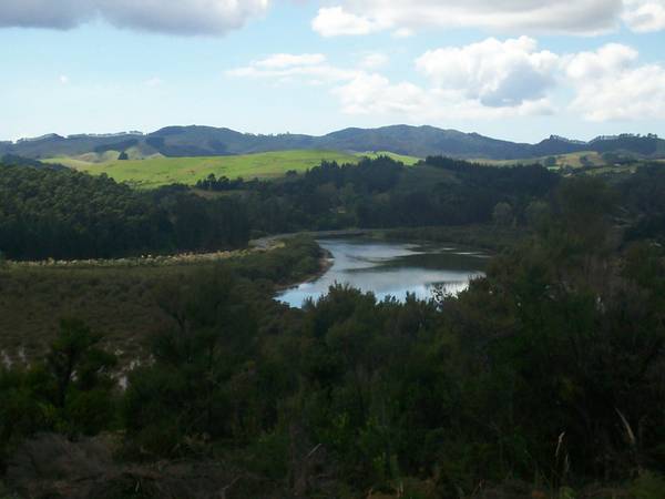 FIVE MINUTES TO MANGONUI Picture 3