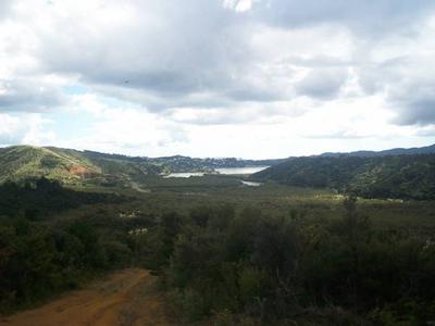 FIVE MINUTES TO MANGONUI Picture