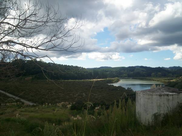 TWO HECTARES IN MANGONUI Picture 3