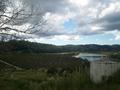TWO HECTARES IN MANGONUI Picture
