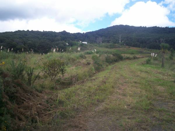 TWO HECTARES IN MANGONUI Picture 1