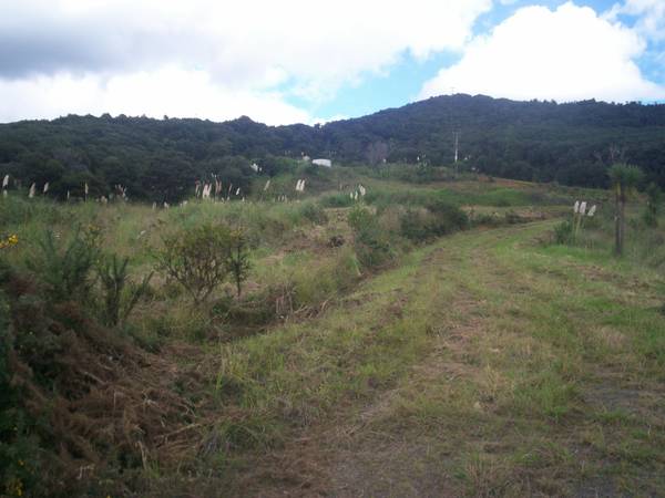 TWO HECTARES IN MANGONUI Picture 1