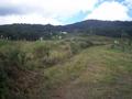 TWO HECTARES IN MANGONUI Picture