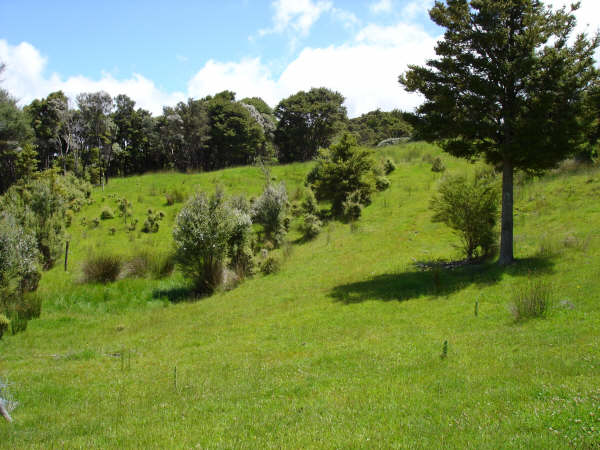 NATURAL BEAUTY IN PARADISE LIFESTYLE Picture 3