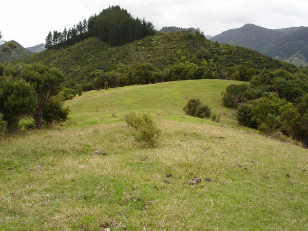 BREATH OF FRESH AIR Picture 2