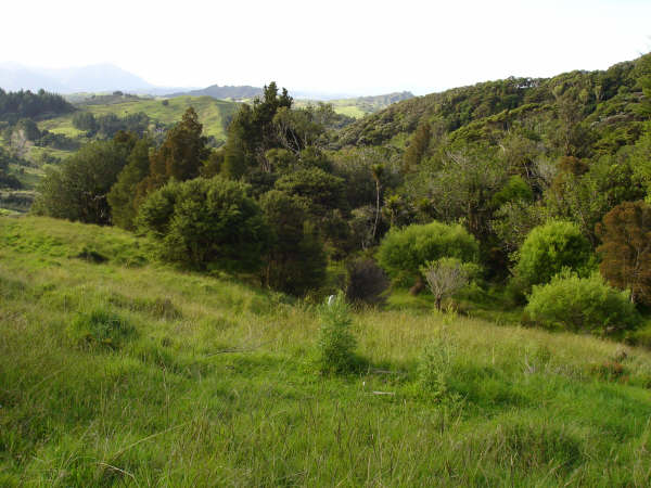 PRETTY 6.06HA BLOCK Picture 2