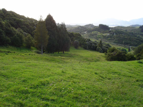 PRETTY 6.06HA BLOCK Picture 1