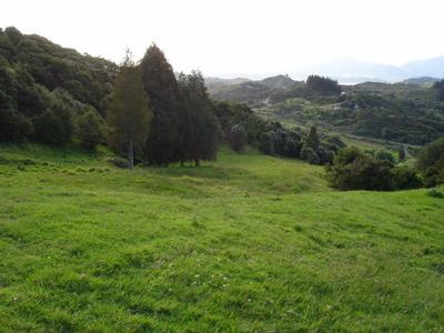 PRETTY 6.06HA BLOCK Picture