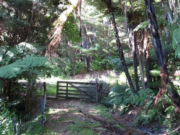 BUSH PLAYGROUND WITH OPTIONS Picture 2