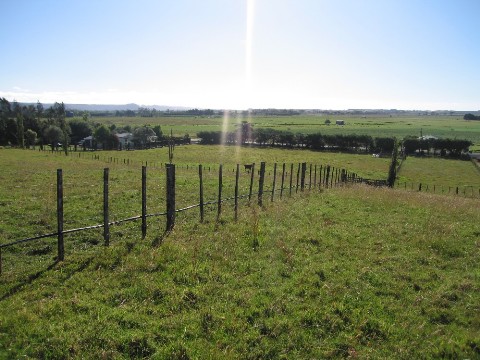 LOOKING FOR LIFESTYLE? Picture 1