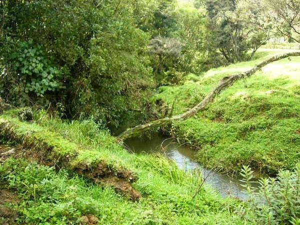 HIDDEN WONDERLAND Picture 2