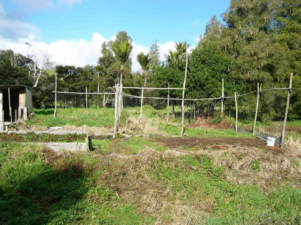 HIDDEN WONDERLAND Picture 3