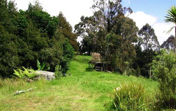 HOKIANGA LIFESTYLE Picture 1