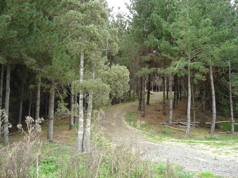 PINE BLOCK HOLIDAY SPOT Picture 1