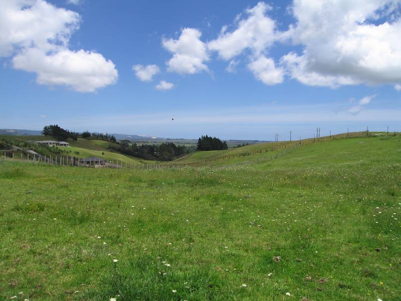 ROOM TO BREATHE! Picture ROOM TO BREATHE! Picture