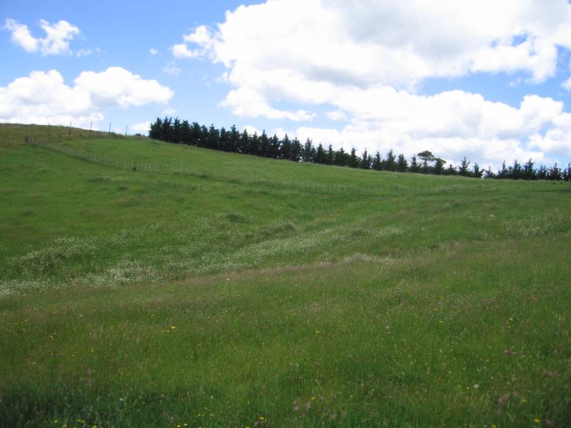 ROOM TO BREATHE! Picture ROOM TO BREATHE! Picture