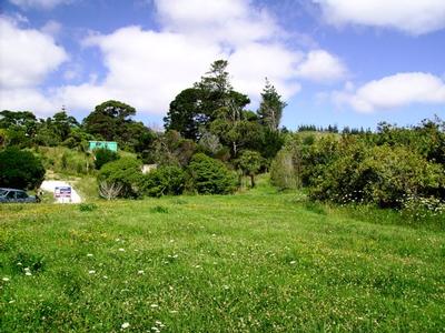 HOKIANGA HARBOUR - OPONONI Picture HOKIANGA HARBOUR - OPONONI Picture