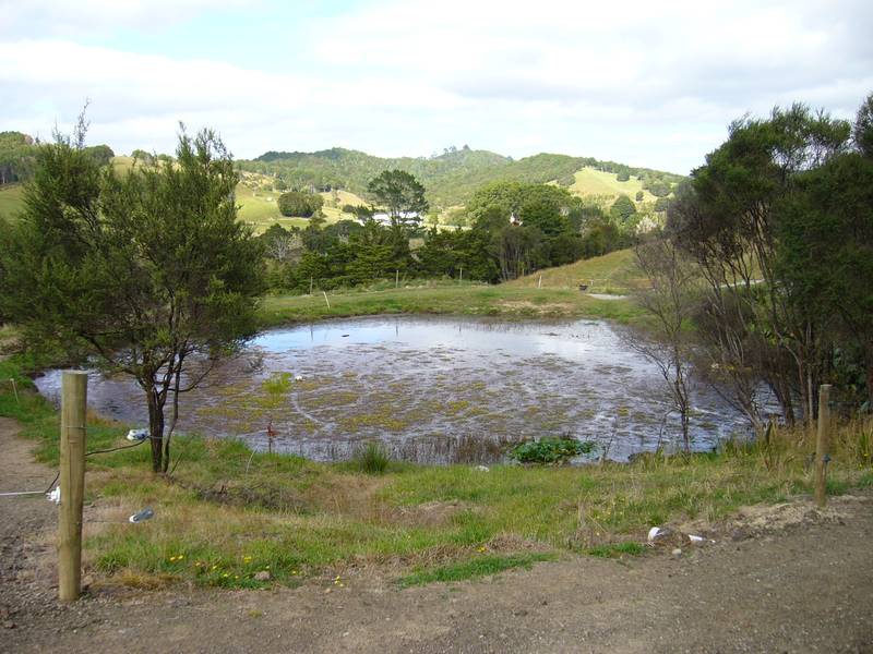 CHOICE 4 HECTARE BLOCK Picture 2